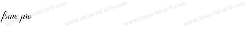 fsme pro字体转换